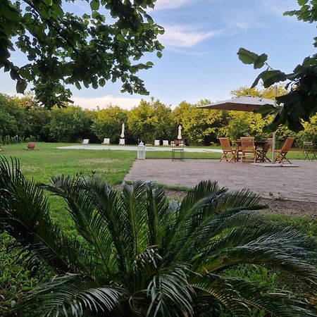 Agriturismo Terre Di Nelio Vignanello Buitenkant foto